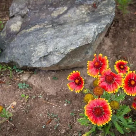 Santa Marina, Lovely 1-bedroom