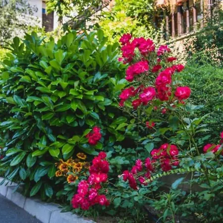 Santa Marina, Lovely 1-bedroom * Sozopol