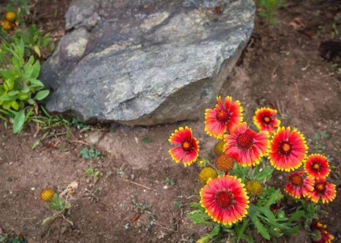 Santa Marina, Lovely 1-bedroom