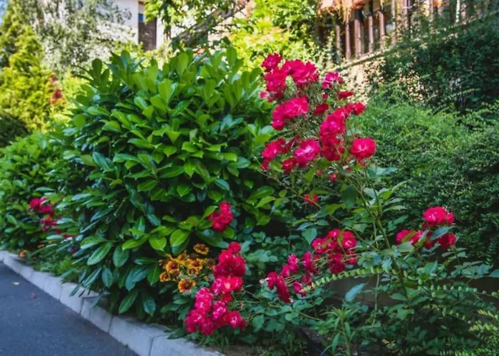 Santa Marina, Lovely 1-bedroom * Sozopol